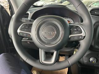 JEEP Renegade usata, con Climatizzatore