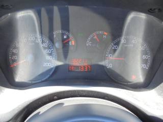 FIAT Punto usata 12