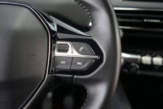 PEUGEOT 3008 usata 33