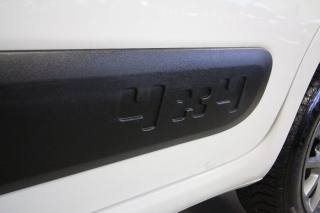 FIAT Panda usata, con Trazione integrale