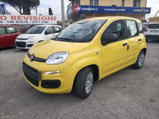 FIAT Panda usata, con Airbag Passeggero