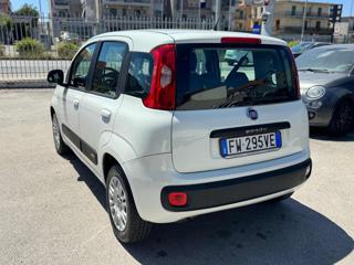 FIAT Panda usata, con Climatizzatore