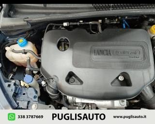 LANCIA Ypsilon usata 19