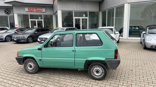 FIAT Panda usata 2