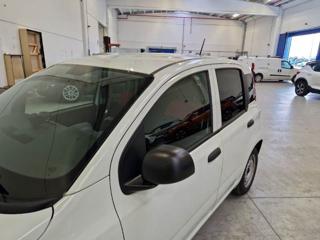 FIAT Panda usata, con Hill holder