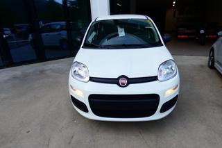 FIAT Panda usata, con Airbag Passeggero