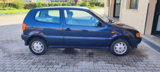 VOLKSWAGEN Polo usata 3
