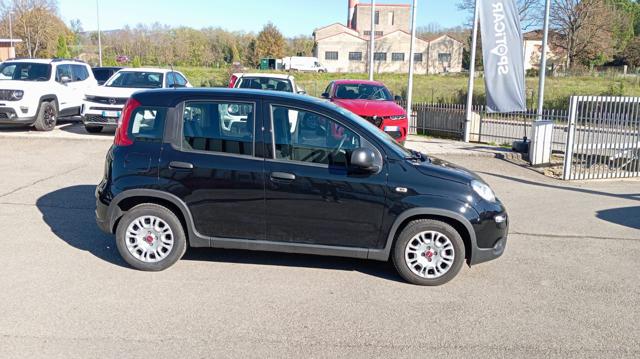 FIAT Panda usata, con Airbag Passeggero