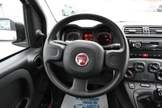 FIAT Panda usata 15