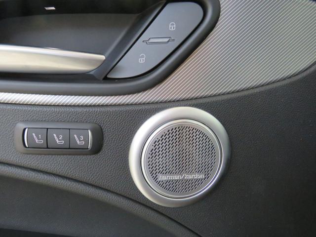 ALFA ROMEO Stelvio usata, con ESP