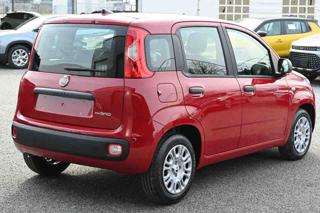 FIAT Panda usata, con Airbag laterali