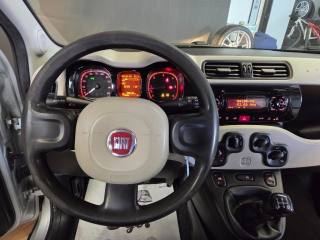 FIAT Panda usata 10
