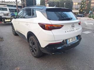 OPEL Grandland X usata, con Vetri oscurati