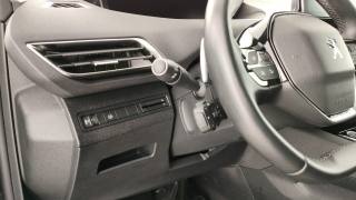 PEUGEOT 3008 usata 50