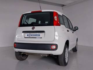 FIAT Panda usata, con Isofix