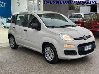 FIAT Panda usata, con Airbag Passeggero