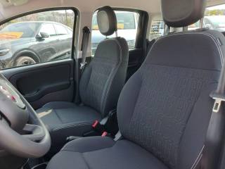 FIAT Pandina usata, con ESP
