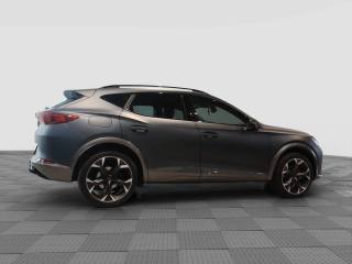 CUPRA Formentor usata 5