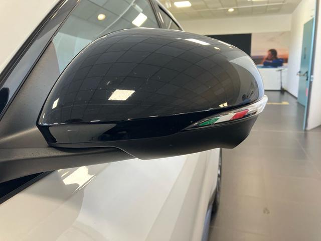 ALFA ROMEO Tonale usata 14