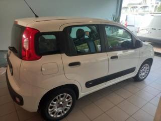 FIAT Panda usata, con Chiusura centralizzata