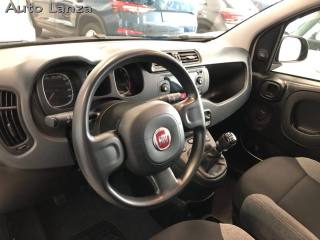 FIAT Panda usata, con Climatizzatore