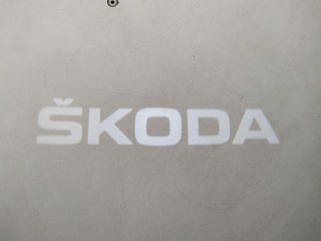 SKODA Karoq usata, con Fendinebbia