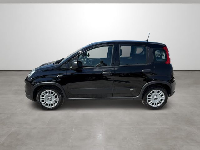 FIAT Panda usata, con Climatizzatore