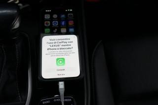 LEXUS UX 250h usata 43
