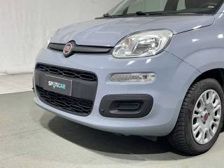 FIAT Panda usata 25