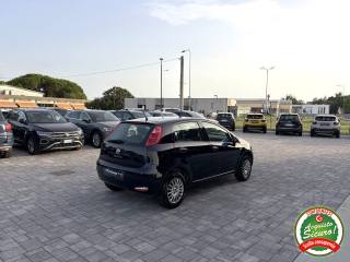 FIAT Punto usata, con Chiusura centralizzata
