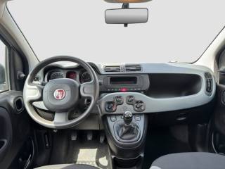 FIAT Panda usata 11