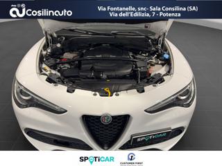 ALFA ROMEO Stelvio usata, con Touch screen