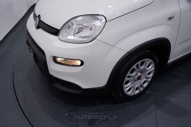 FIAT New Panda usata 24