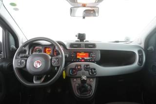 FIAT Panda usata 4