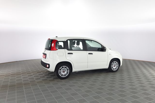 FIAT Panda usata 2