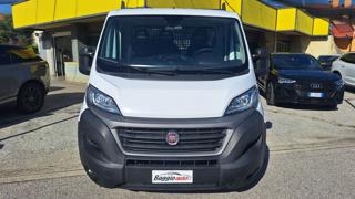 FIAT Ducato usata 8