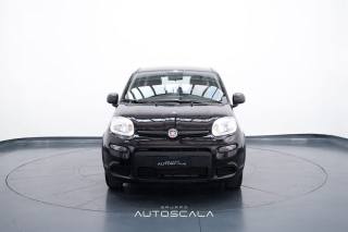 FIAT New Panda usata, con Airbag