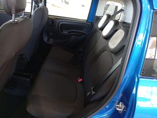 FIAT Panda usata, con Cruise Control