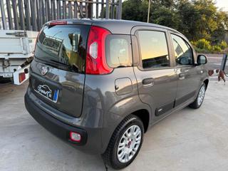 FIAT Panda usata, con Alzacristalli elettrici