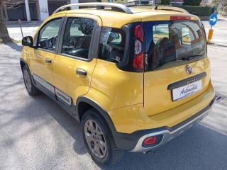 FIAT Panda Cross usata, con Cerchi in lega