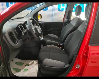 FIAT New Panda usata 13