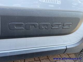 FIAT Panda Cross usata, con Vivavoce