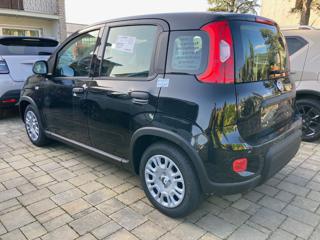 FIAT Panda usata, con Airbag Passeggero