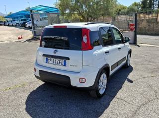 FIAT Panda usata 4