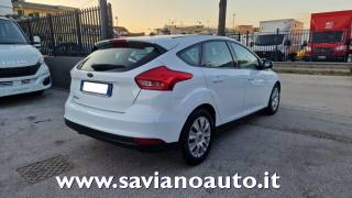 FORD Focus usata, con Airbag Passeggero