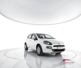 FIAT Punto usata 1