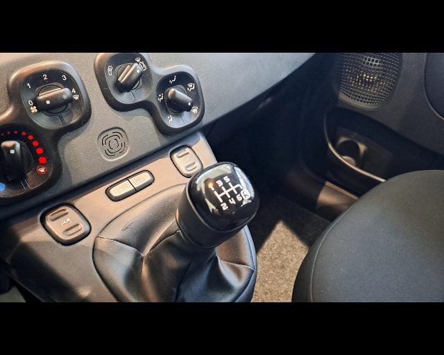 FIAT New Panda usata 10