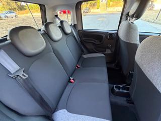 FIAT Panda usata, con Airbag testa