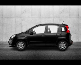 FIAT Panda usata, con Airbag Passeggero