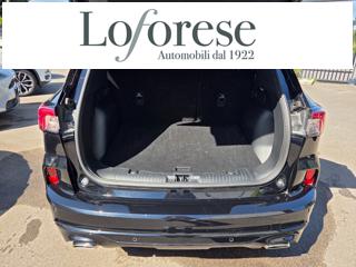 FORD Kuga usata, con Servosterzo